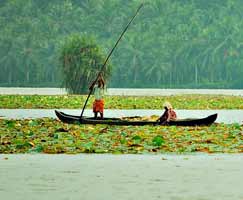 Tour Package In Kumarakom