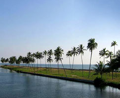 Holiday In Kumarakom