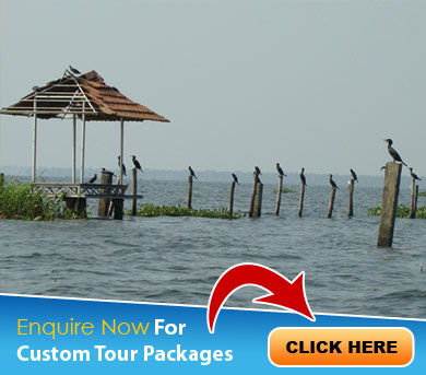 Kumarakom Tour Packages